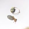 Labradorite – Image 3